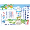 チョーヤ 夏梅 500ml 48本 数量限定 季節限定 梅ジュース