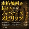 雲海酒造 雲海 OLD SECRET そば 30度