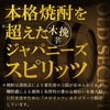 雲海酒造 雲海 木挽 OLD SECRET 芋
