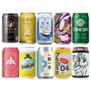 クラフトビール スタイル 飲み比べ 10本 セット