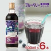 野田ハニー ブルーベリー 100％ ジュース