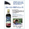 野田ハニー ブルーベリー 100％ ジュース