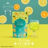 フルーツフレーバーティー&台湾茶 ティーバッグ 6種セット
