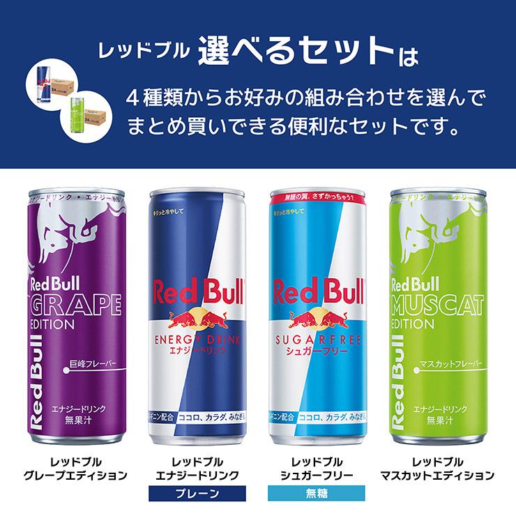 選べるセット Red Bull レッドブル よりどり 2種セット 