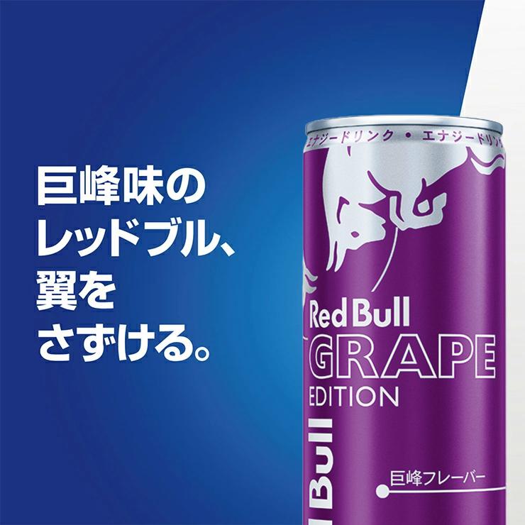 選べるセット Red Bull レッドブル よりどり 2種セット 