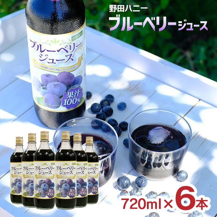 野田ハニー ブルーベリー100％ジュース