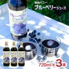野田ハニー ブルーベリー
