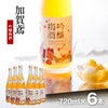  福光屋 加賀鳶 吟醸梅酒 