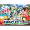 オリオン 島チュー 7% 無糖 青切り シークヮーサー