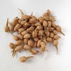 キッチンドッグ サーディンチップス 50g 1個