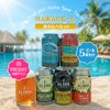 ハワイ クラフトビール 飲み比べセット 