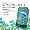 ハワイ クラフトビール 飲み比べセット 