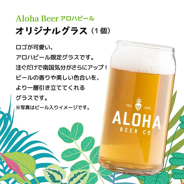 ハワイ クラフトビール 飲み比べセット 