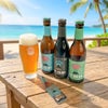 韓国 クラフトビール 飲み比べ 3本