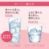  麦焼酎 本格焼酎 雲海 いいとも 