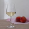 日本酒 飛天女 スイートムーン
