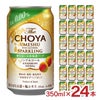 The CHOYA 酔わない本格梅酒ソーダ ノンアルコール