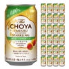 The CHOYA 酔わない本格梅酒ソーダ ノンアルコール