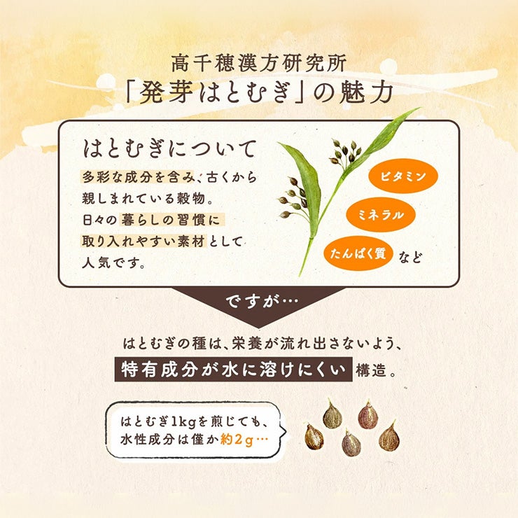 高千穂漢方研究所 発芽はとむぎ茶