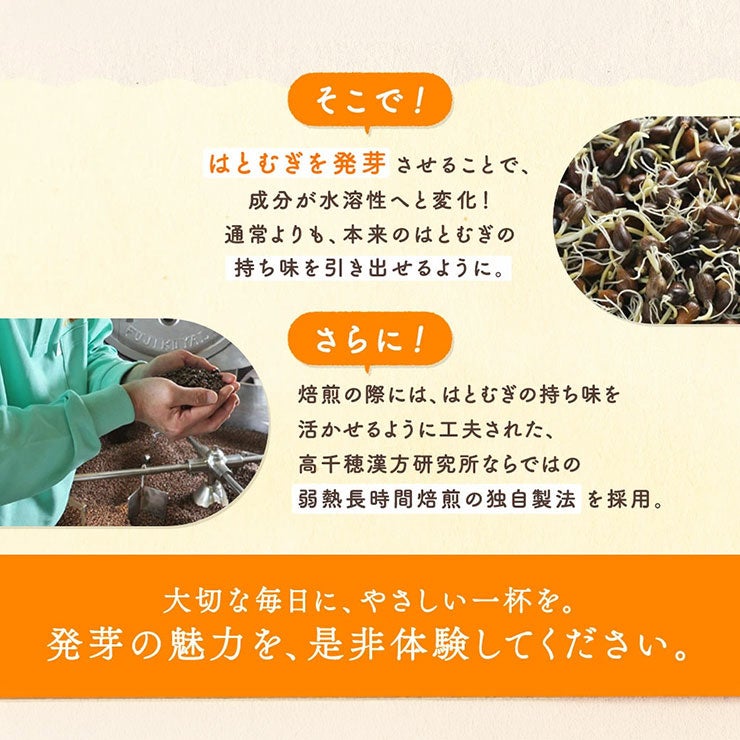 高千穂漢方研究所 発芽はとむぎ茶