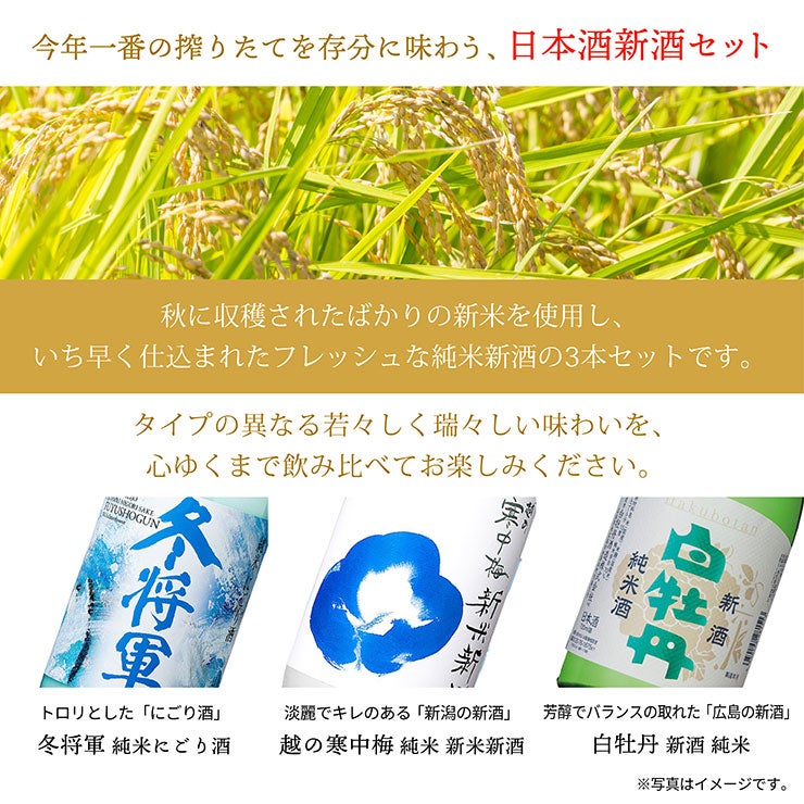 日本酒 新酒セット2026