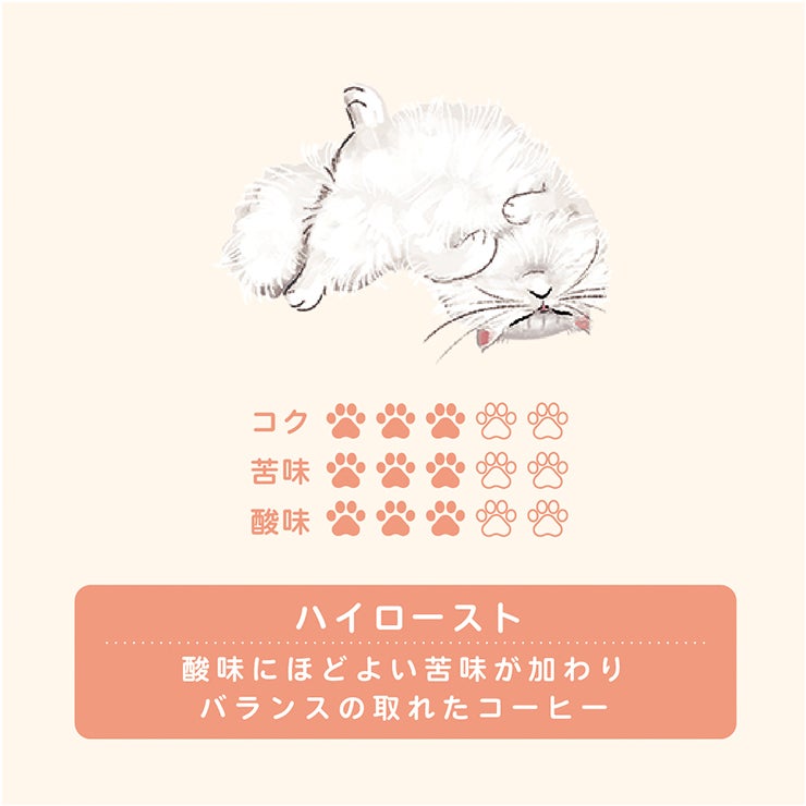 キッサ 珈琲 オーガニック ドリップ コーヒー ペルシャ ハイロースト
