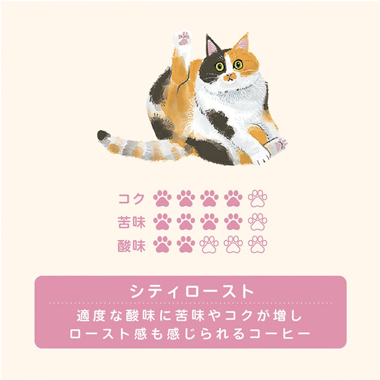 キッサ 珈琲 オーガニック ドリップ コーヒー ミケ シティロースト