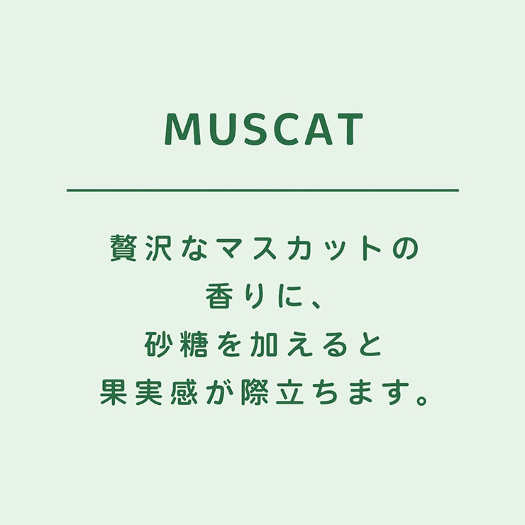 キッサ 紅茶 カフェインレス ティーバッグ 